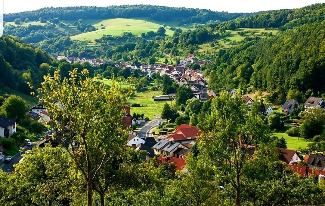 Geishoehe Landgasthof Rose Dammbach Exterior foto